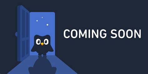 Duolingo memes are here to remind you to practice .